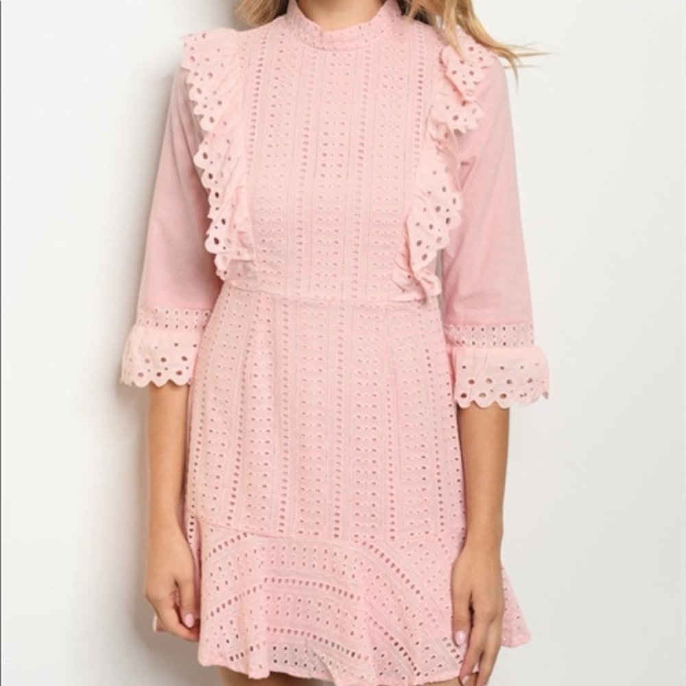 The Clothing Company High Neck Eyelet Lace Ruffle Dress L Pastel Pink NWT $44